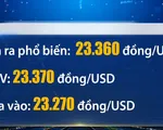 Tỷ giá trung tâm tiếp tục tăng 4 đồng