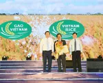 Vĩnh Long sẽ đăng cai Festival Lúa gạo Việt Nam 2019