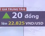 Tỷ giá trung tâm tăng mạnh