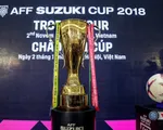 Lịch thi đấu chung kết AFF Cup 2018: ĐT Việt Nam so tài với ĐT Malaysia