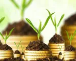 Nhiều doanh nghiệp chây ì trả cổ tức