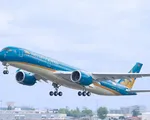 Vietnam Airlines nhận vận chuyển cành đào, cành mai dịp Tết Mậu Tuất