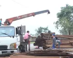 Doanh nghiệp cơ khí tìm kiếm thị trường xuất khẩu