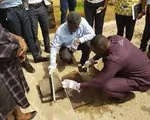 Ghana: Gạch lát vỉa hè làm từ nhựa bỏ đi