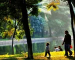 Ngày 3/3, nắng ráo tại các tỉnh thành Trung Bộ