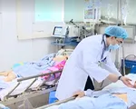 Nhiều bệnh nhân nguy kịch vì nhiễm liên cầu khuẩn lợn