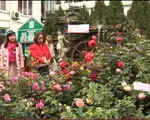 Lễ hội hoa hồng Bulgari lần thứ 2 tại Hà Nội