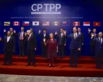 CPTPP - Những màn đàm phán kịch tính và sức hấp dẫn không thể bỏ qua