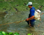 Hai thanh niên tử vong khi dùng điện chích cá ở suối Cam Ly