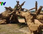 Phó Thủ tướng Trương Hòa Bình chỉ đạo làm rõ phản ánh xe chở cây 'khủng'