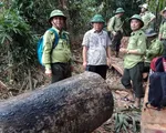 Quảng Nam đình chỉ công tác 6 cán bộ kiểm lâm liên quan đến 2 vụ phá rừng