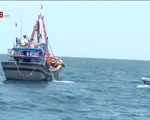 Quảng Bình đẩy mạnh kiểm soát đánh bắt hải sản trái phép