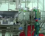Khánh thành tổ hợp chế biến hoa quả xuất khẩu lớn nhất Nam Bộ