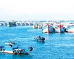 Cà Mau quyết tâm không để ngư dân vi phạm vùng biển nước ngoài