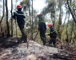 Quảng Nam: Dập tắt đám cháy tại rừng phòng hộ ven biển