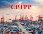 Cơ hội và thách thức từ CPTPP đã trở nên gần hơn bao giờ hết