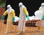 Congo ghi nhận 26 ca tử vong do Ebola, cảnh báo mức nguy hiểm rất cao