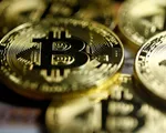 Người tham gia Bitcoin tại Việt Nam tăng gấp đôi