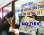 Bình Định công khai 141 doanh nghiệp nợ thuế trên 100 triệu đồng