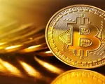 Nhiều công ty đào Bitcoin đồng loạt ngừng hoạt động