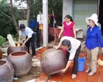 Bộ Y tế phát động phòng chống dịch sốt xuất huyết khu vực phía Nam