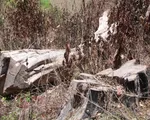 Vụ Phá rừng Khu Bảo tồn thiên nhiên Nam Kar, Đắk Lắk: Kỷ luật 4 cán bộ kiểm lâm