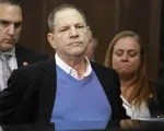 Harvey Weinstein chối bỏ mọi cáo buộc tội danh hiếp dâm