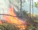Liên tiếp cháy rừng ở Hà Tĩnh và Nghệ An