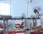 Tăng trưởng Việt Nam đạt 6,9 trong năm 2018