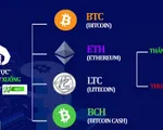 CJ Trade - Sàn giao dịch tài chính hay “trò chơi đỏ đen” được sắp đặt?