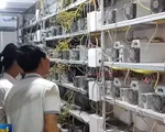 Sky Mining - Đa cấp biến tướng thành máy đào tiền ảo