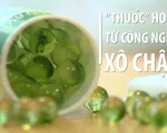 Rùng mình thuốc ho sản xuất từ công nghệ xô chậu