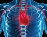 Những thói quen giúp người trẻ tránh xa bệnh tim mạch