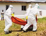 WHO cảnh báo nguy cơ lây lan virus Ebola tại châu Phi