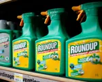 Tranh cãi về thuốc diệt cỏ Glyphosate