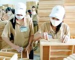 7 tháng đầu năm, xuất khẩu gỗ và lâm sản đạt hơn 5 tỷ USD
