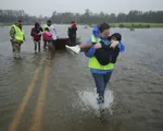 Ít nhất 5 người thiệt mạng do bão Florence ở Mỹ