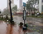 Bão Mangkhut đổ bộ Trung Quốc, 2 người thiệt mạng