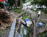 Mưa lớn do bão Mangkhut tiếp tục đe dọa các tỉnh miền Nam Trung Quốc