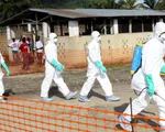 Dịch Ebola vẫn đang tiềm ẩn nguy cơ bùng phát ở CHDC Congo