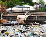 Thủ đô Phnom Penh, Campuchia chống rác thải nhựa