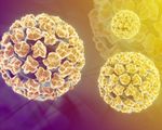 Những điều chưa biết về virus HPV