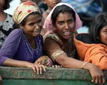 Bangladesh hoãn tiến trình hồi hương người tị nạn Rohingya về Myanmar