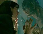 Đề cử Oscar 2018: The Shape of Water thống trị bảng đề cử