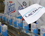 Thêm 99 lô sản phẩm của Tập đoàn Lactalis có nguy cơ nhiễm khuẩn