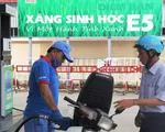 Chính thức thay thế xăng RON 92 bằng xăng E5