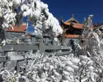 Hàng chục nghìn du khách tới Sa Pa “săn tuyết”