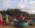 Chuyến biển đầu năm mới đầy niềm vui của ngư dân Phú Yên