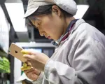 Foxconn sa thải 50.000 công nhân lắp ráp iPhone