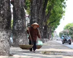 Toàn miền Trung tạnh ráo, trưa chiều có nắng